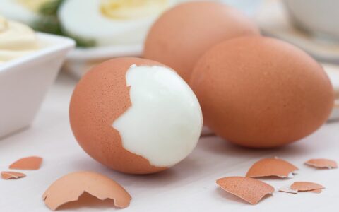 eggs